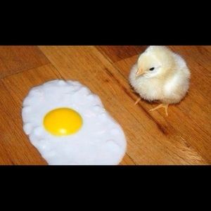 Meet your Posher, Marcus